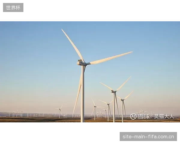 体育赛事接受化石能源公司的巨额赞助，同时又宣称“碳中和”，这是否构成了事实上的“共谋式漂绿”？